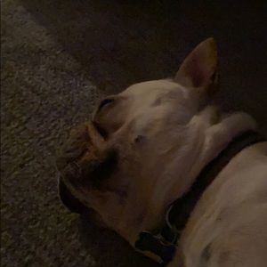 Meet your Posher, Courtney